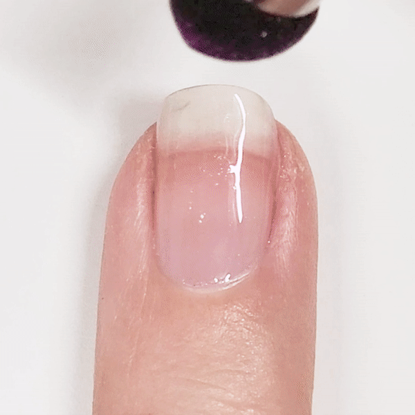 Displaying how the shade is applied with the applicator 